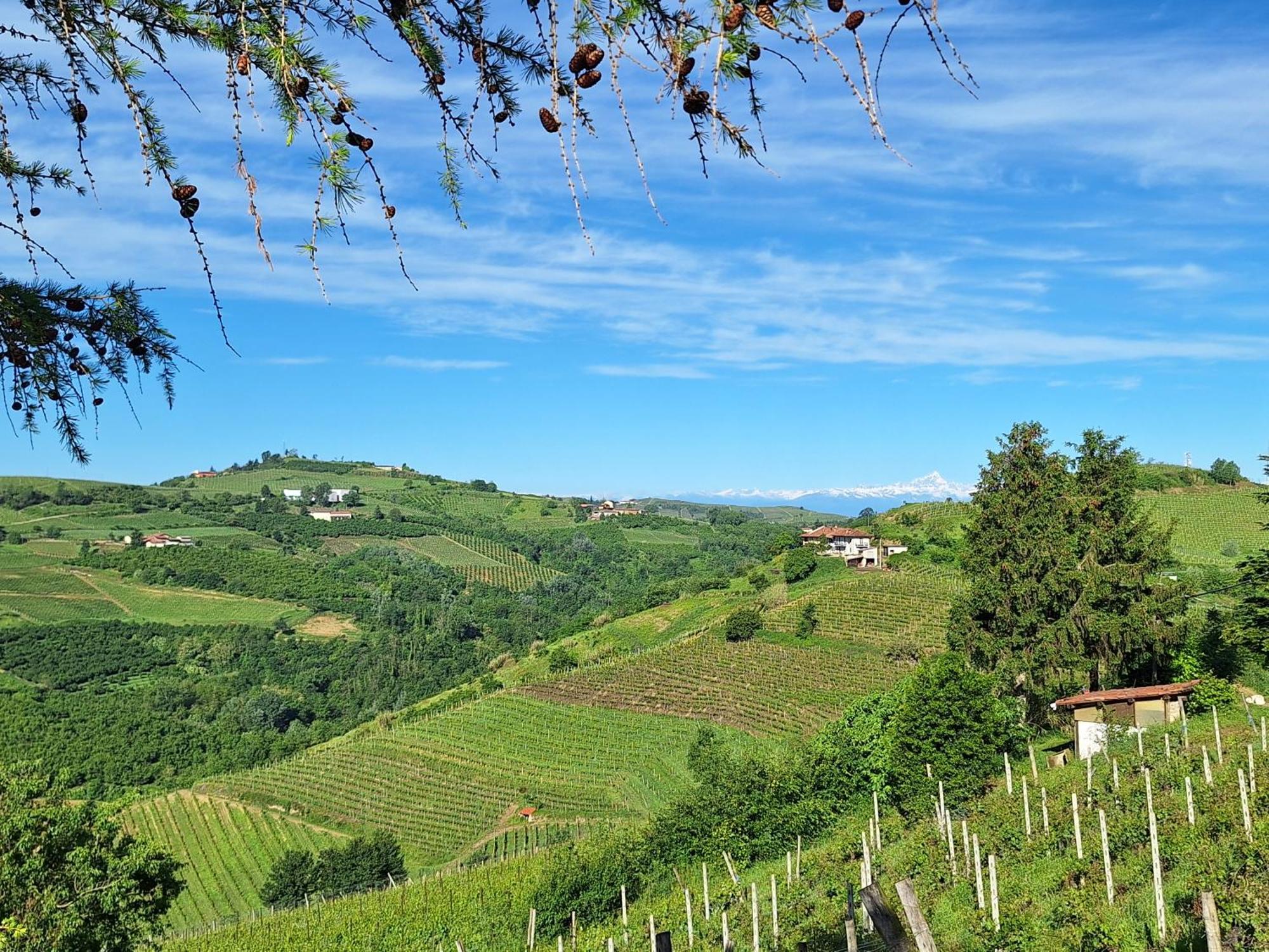 Agriturismo Ca Trinche Camo Bagian luar foto