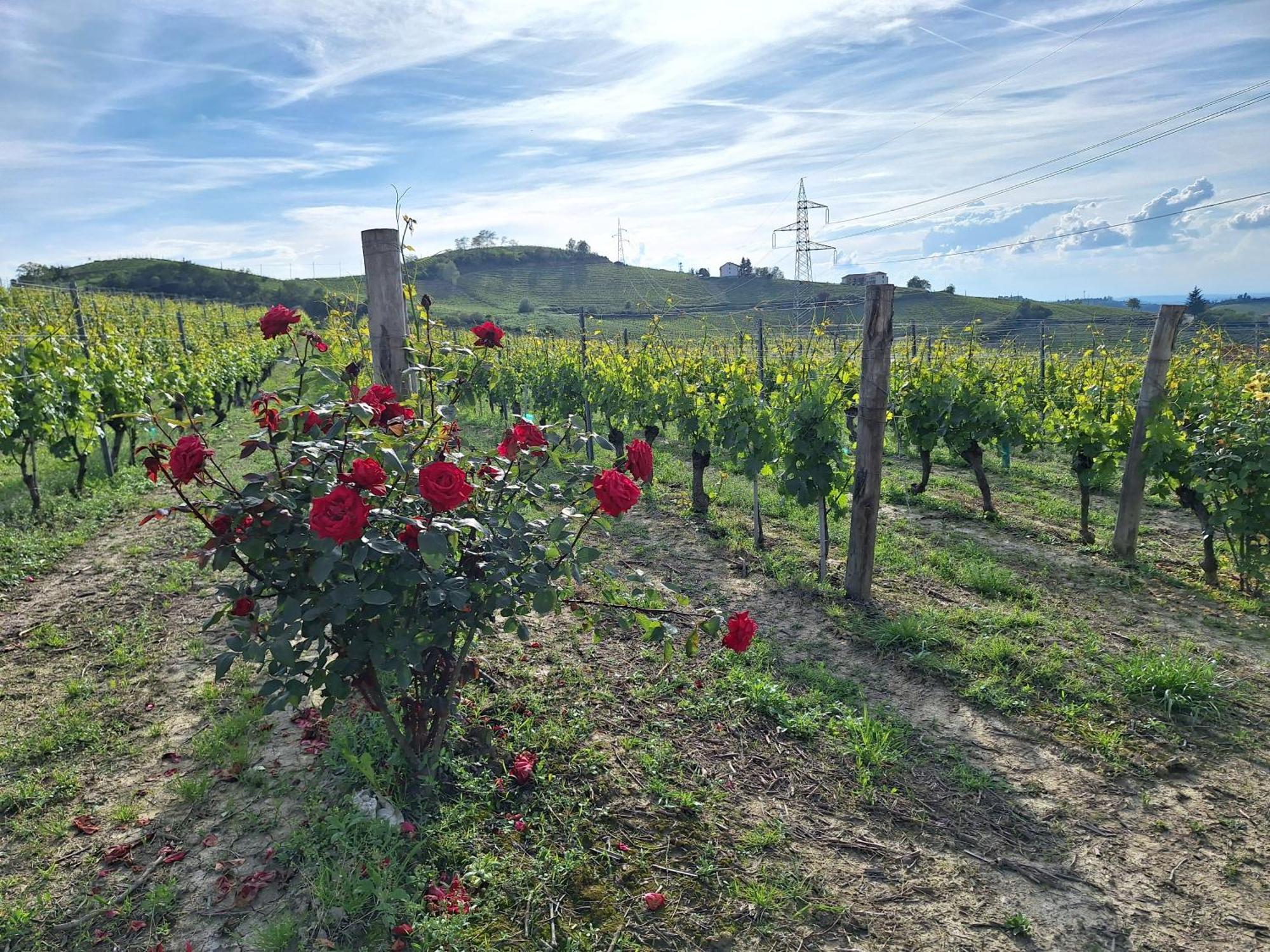 Agriturismo Ca Trinche Camo Bagian luar foto